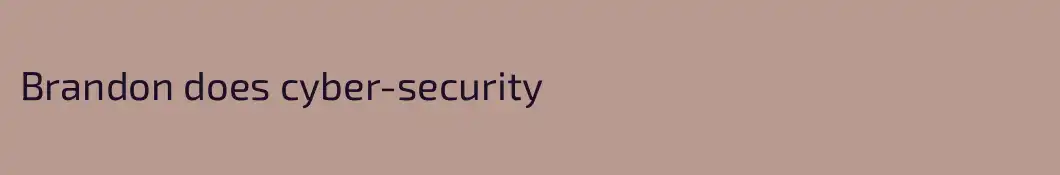 Brandon does cyber-security
